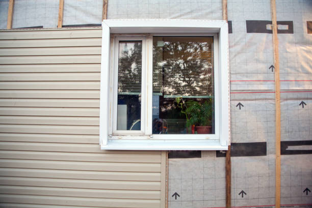 Fascia and Soffit Installation in Napili Honokowai, HI